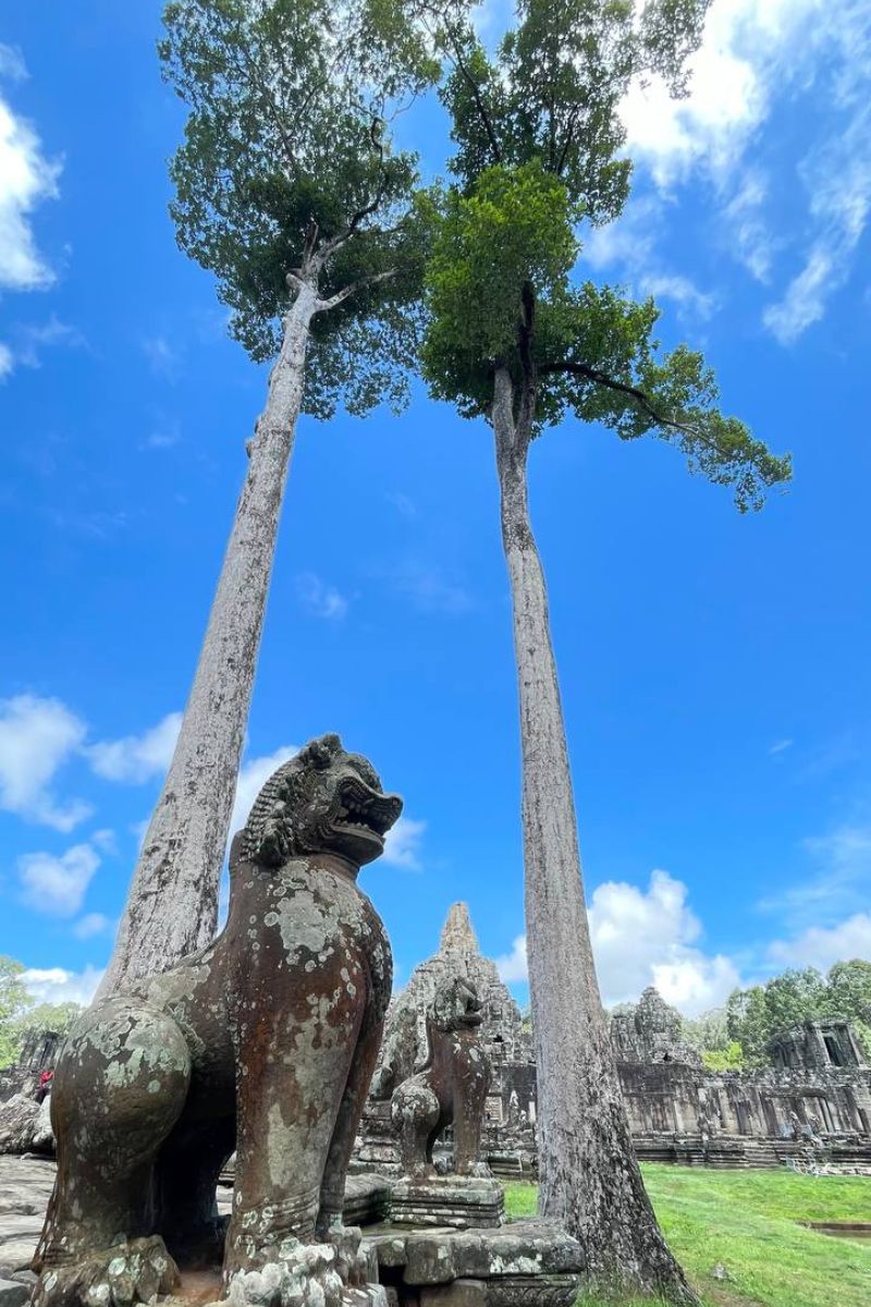 Explore Angkor Small Group Tour for Angkor Wat Bayon and Ta Prohm