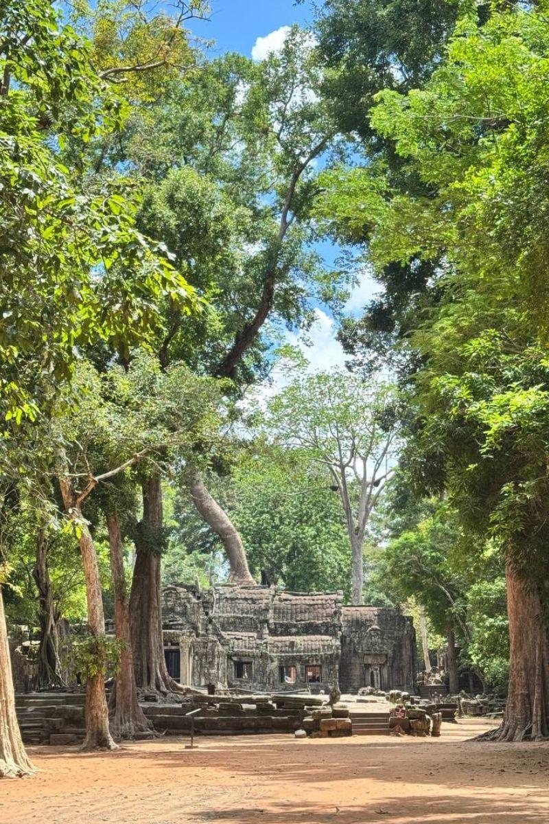 Explore Angkor Small Group Tour with Lunch and Hotel Pickup