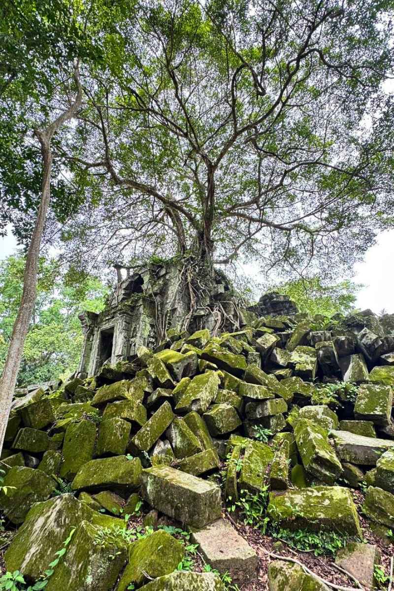 Koh Ker and Beng Mealea Tour Best Remote Temples