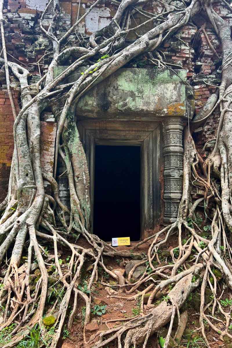 Koh Ker and Beng Mealea Tour Pyramid and Jungle Ruins