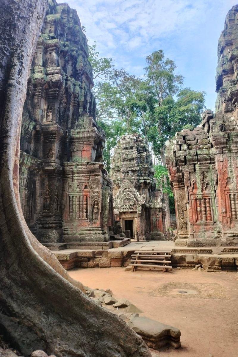Small Group Angkor Sunrise Tour Angkor Wat Bayon Ta Prohm
