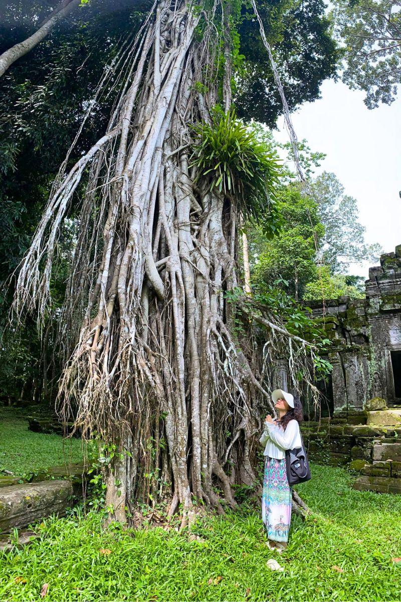 Banteay Srei Backcountry Tour with Ancient Temples and Countryside Discovery