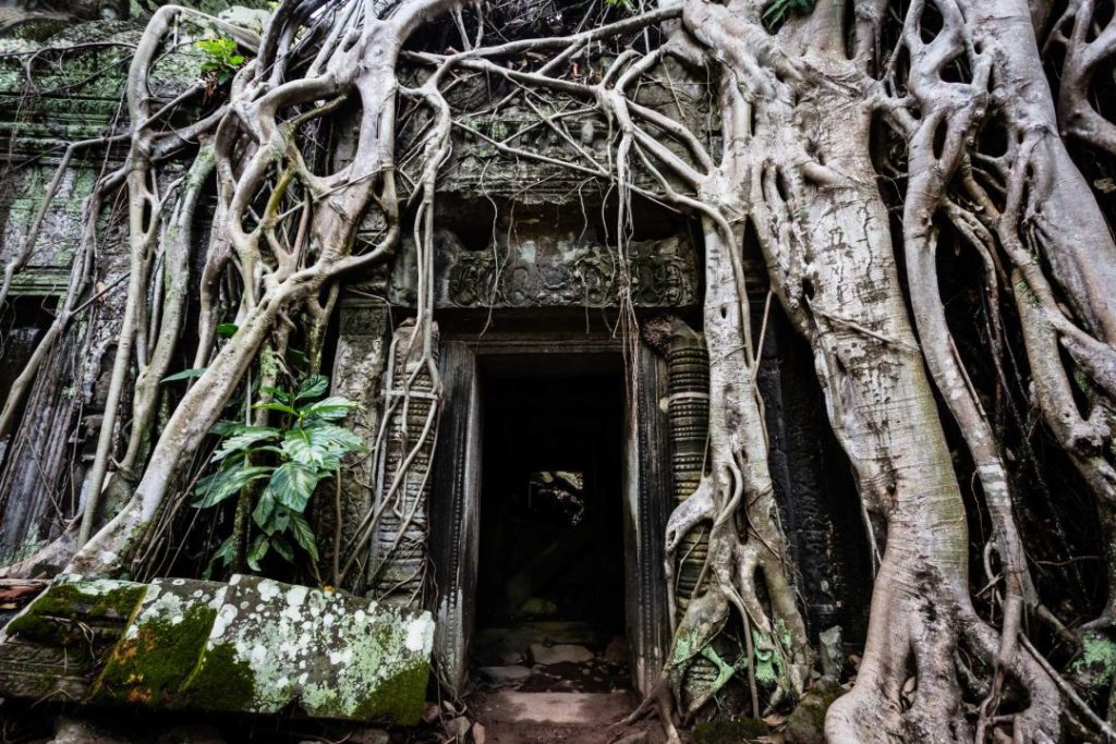 Fact 2. There’s more to Angkor than Angkor Wat
