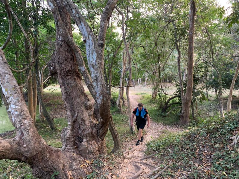 hiking-kulen-national-park