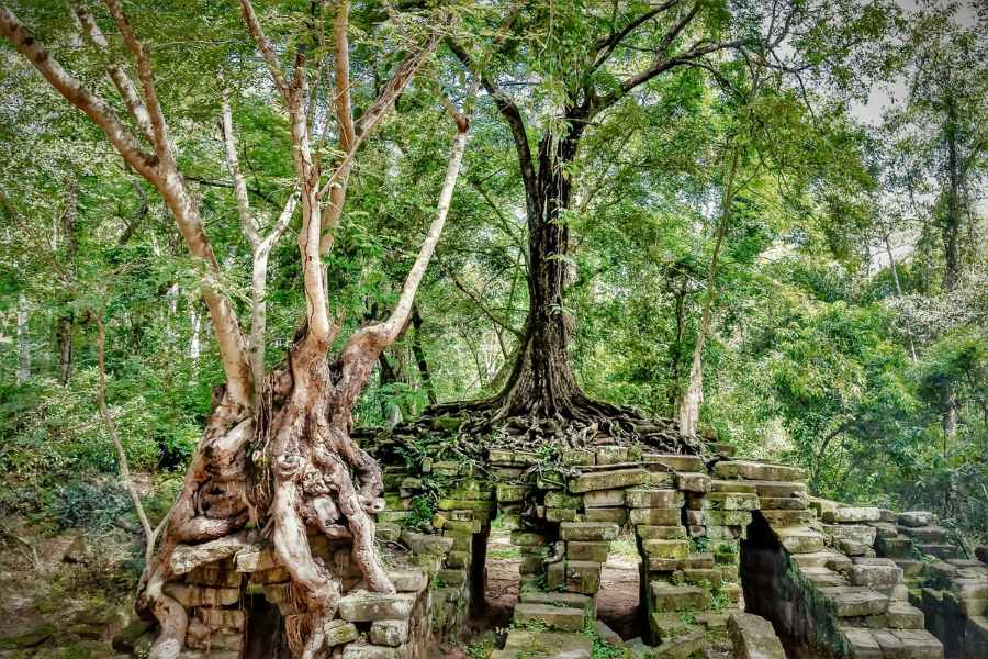 Eco-friendly travel in Siem Reap and Angkor Wat