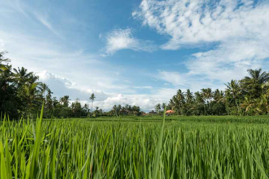 Introduction to sustainable tourism in Siem Reap and Angkor Wat