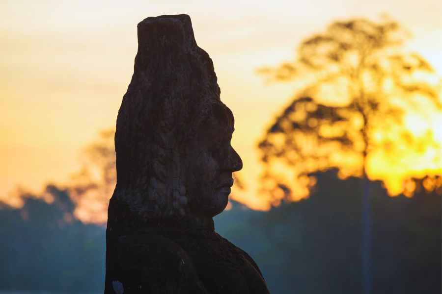 Nature walks and bird watching in the parks surrounding Angkor Wat