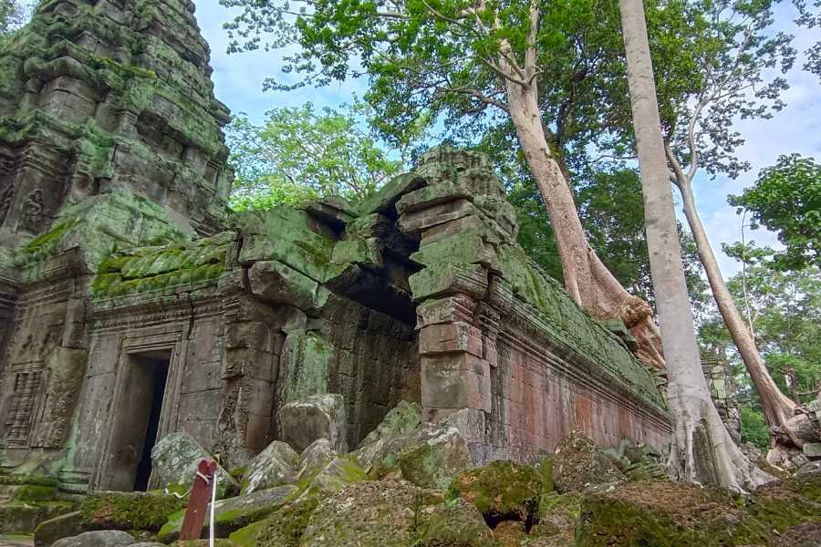 Unearth the Mysteries of Ta Prohm Temple - A Guide to Angkor's Iconic Jungle Temple