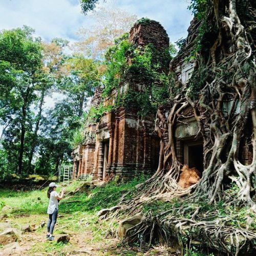 Private Full-Day Siem Reap to Koh Ker & Beng Mealea Temple Tour