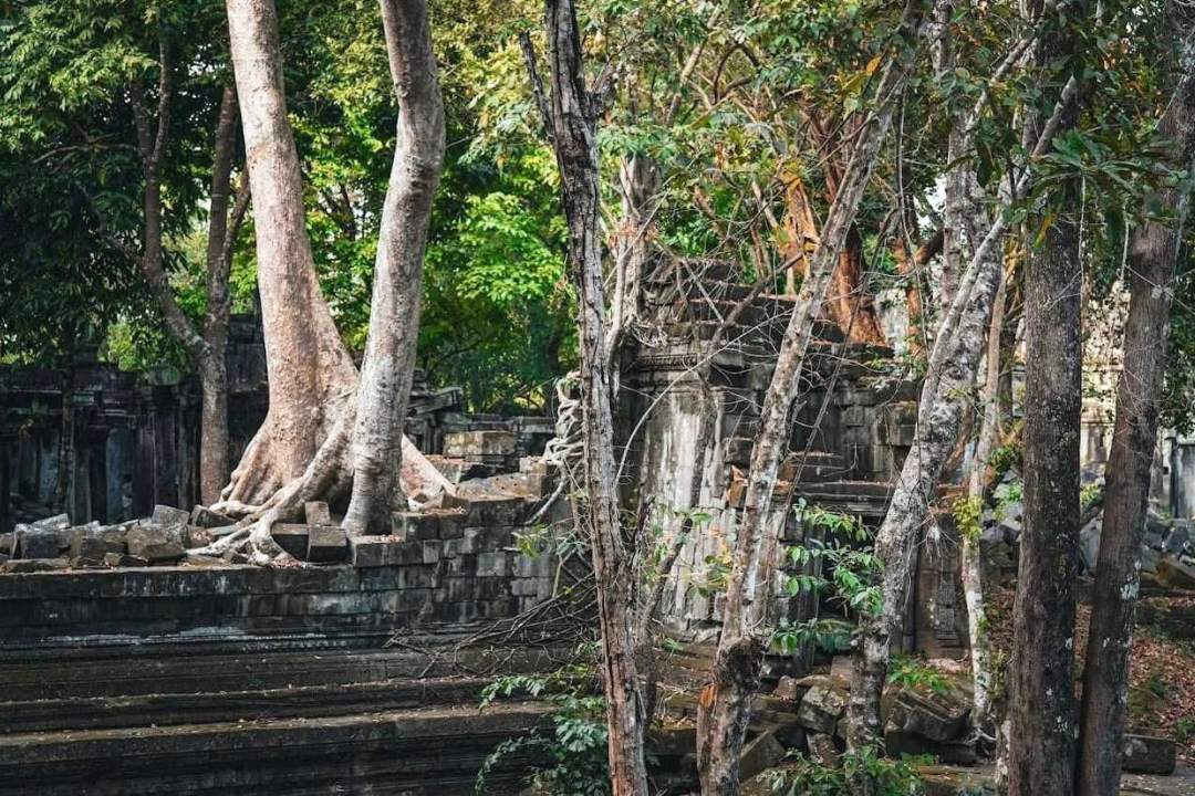 Guest Satisfaction First - Angkor Temples Pass, Beang Mealea Temple Pass, and Koh Ker Temples Pass Which Ticket Saves You the Most Time and Money