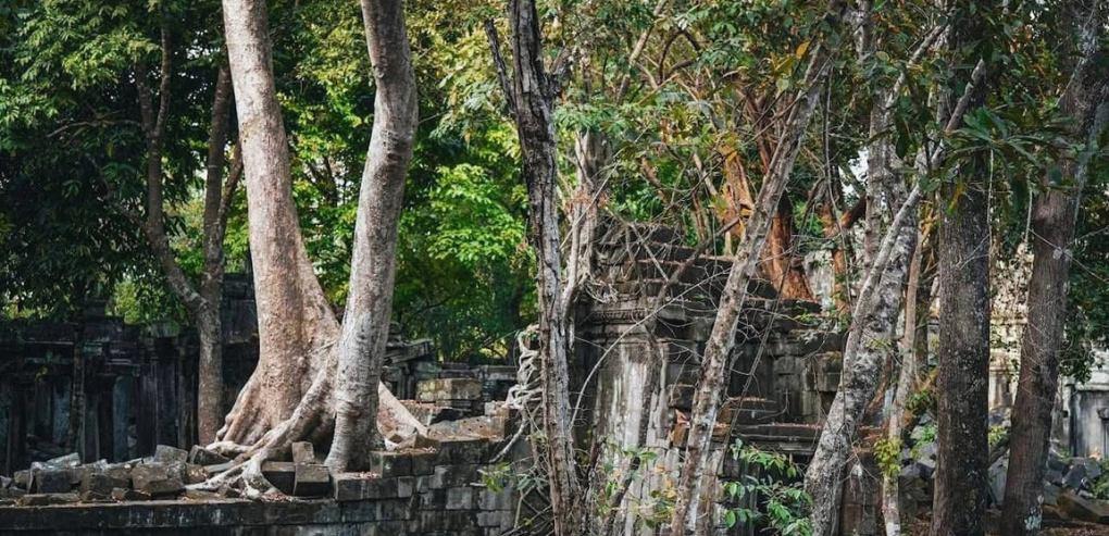 Choose the right tour level and pocket the difference - Here's what you actually need to know about the cost of Beng Mealea tour Siem Reap
