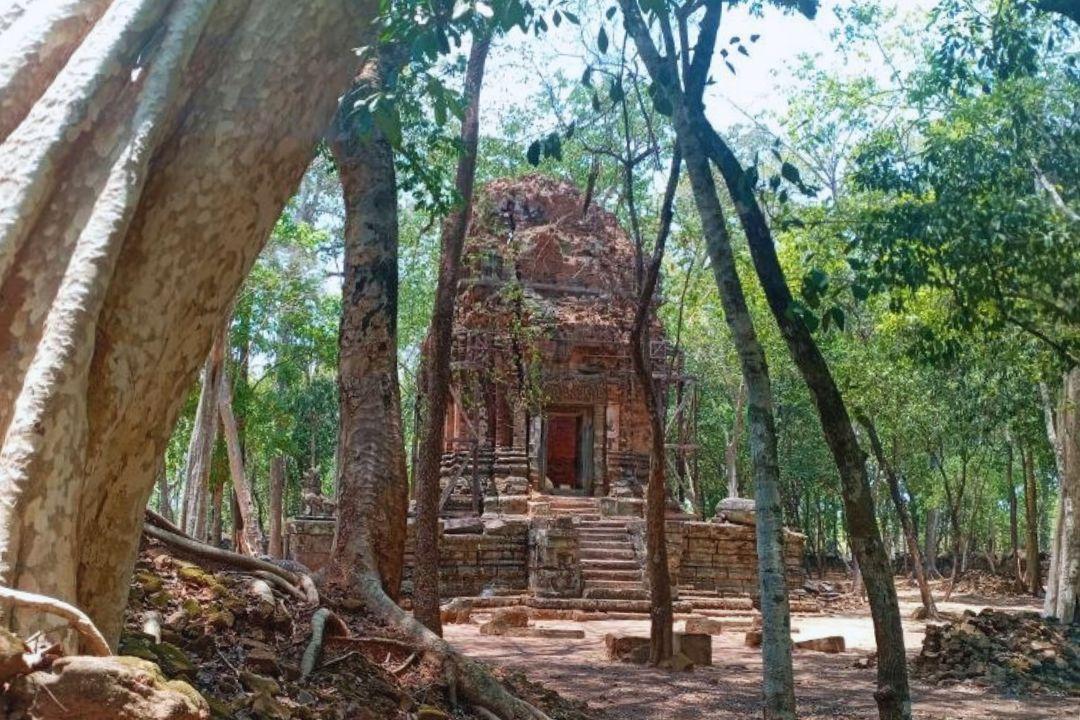 Siem Reap Weather by Month with Top 12-Month Guide