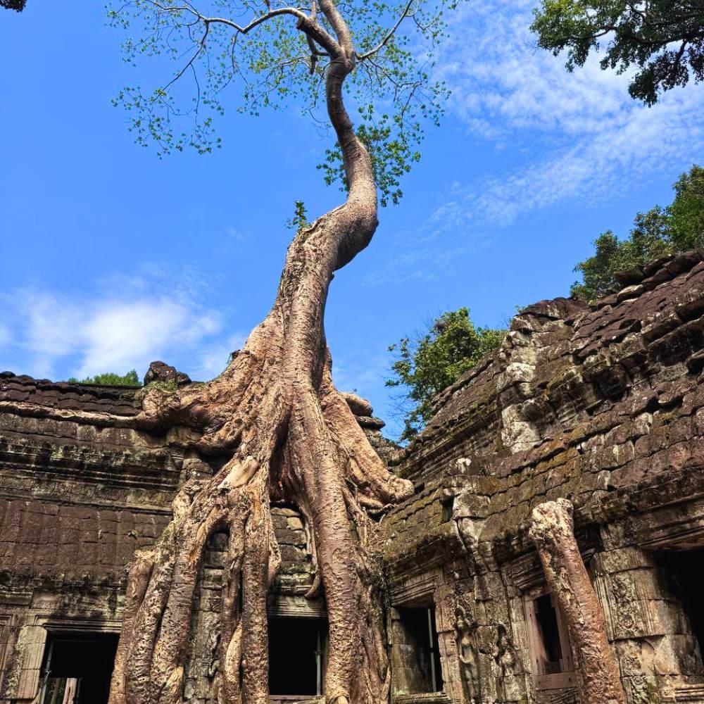 2-days-in-siem-reap-bayon-and-ta-prohm-day-1