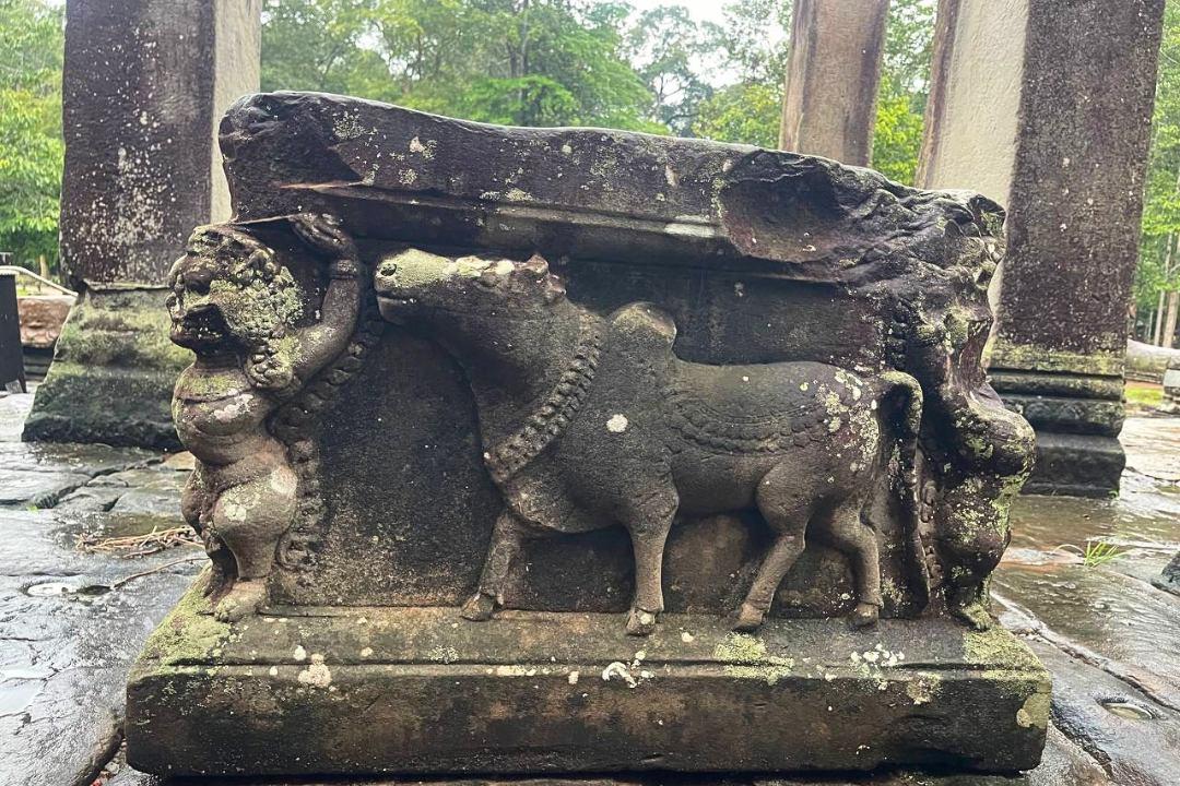 Which tours fit Siem Reap weather in August best