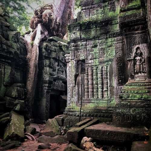 Explore Angkor Wat with Bayon Temple and the world-famous Ta Prohm (Tomb Raider) Temple with Sunset small group shared tours by siemreapshuttle.com