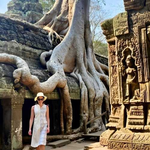 Explore Angkor Wat with Bayon Temple and the world-famous Ta Prohm (Tomb Raider) Temple with Sunset small group shared tours by siemreapshuttle.com