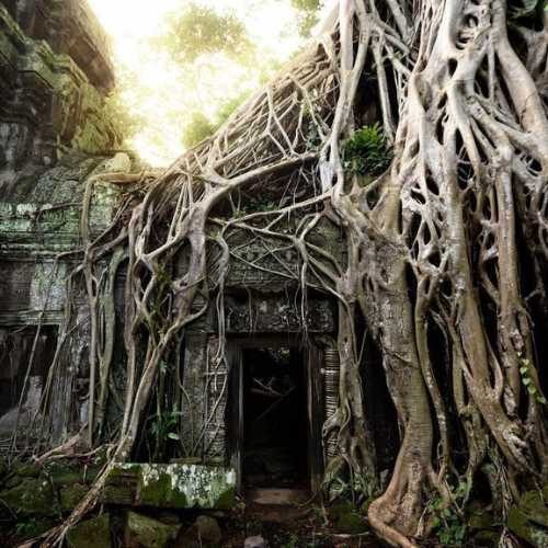 Explore Angkor Wat with Bayon Temple and the world-famous Ta Prohm (Tomb Raider) Temple with Sunset small group shared tours by siemreapshuttle.com