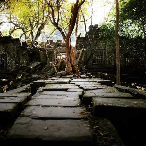 Explore Angkor Wat with Bayon Temple and the world-famous Ta Prohm (Tomb Raider) Temple with Sunset small group shared tours by siemreapshuttle.com