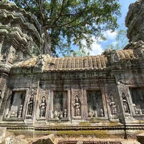 Explore Angkor with Bayon Temple and the world-famous Ta Prohm (Tomb Raider) Temple photo gallery - A view at Ta Prohm