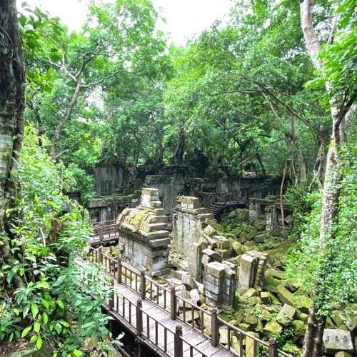 Koh-Ker-and-Beng-Mealea-Tour-with-Siem-Reap-Shuttle-tours 2