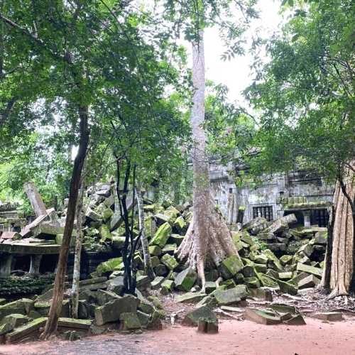 Koh-Ker-and-Beng-Mealea-Tour-with-Siem-Reap-Shuttle-tours 4
