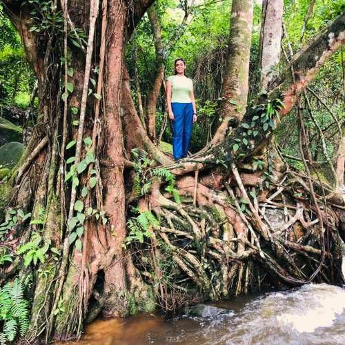 Kulen Waterfall & 1000 Lingas tour with small shared group tour by siemreapshuttle.com